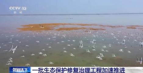 筑牢生態屏障 農業面源污染攔截與濕地修復工程全面加速