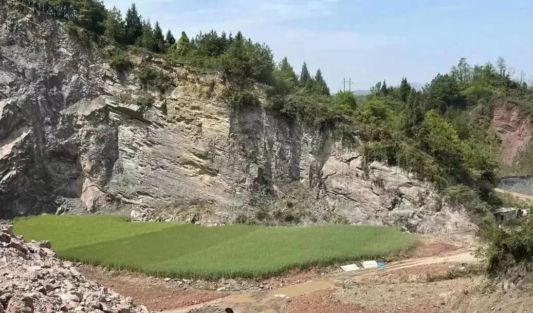 桑植縣人民檢察院 “一礦一策”，800余畝礦山重披綠衣！生態恢復成效顯著