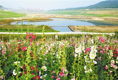 砥礪奮進(jìn)五年間 生態(tài)文明建設(shè)展區(qū)見證綠色奇跡