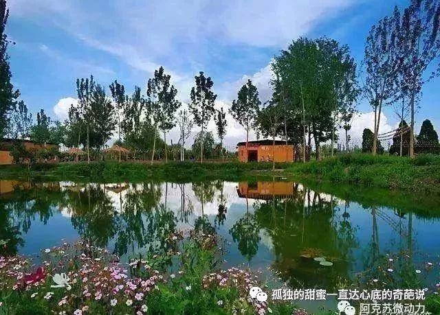 讓綠色的交響曲響徹天際——阿克蘇實施荒漠綠化工程紀實